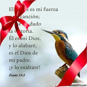 Meet your Posher, Jenitzia